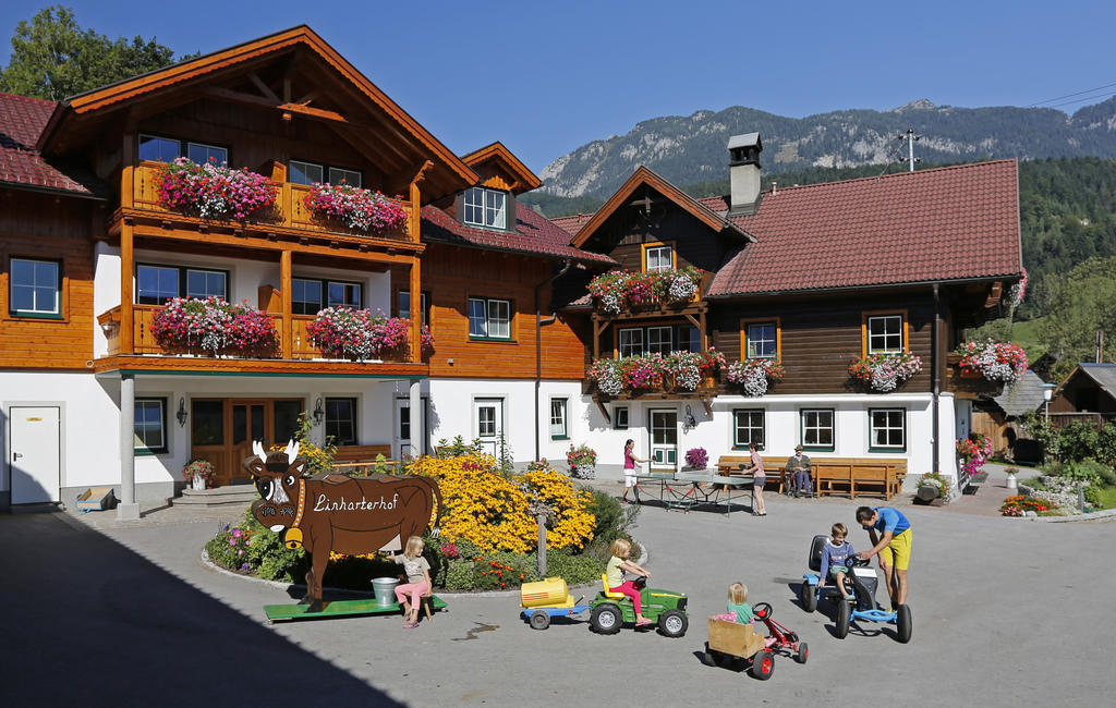 Linharterhof Villa Haus im Ennstal Exteriör bild